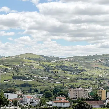 Oliveira Douro House *